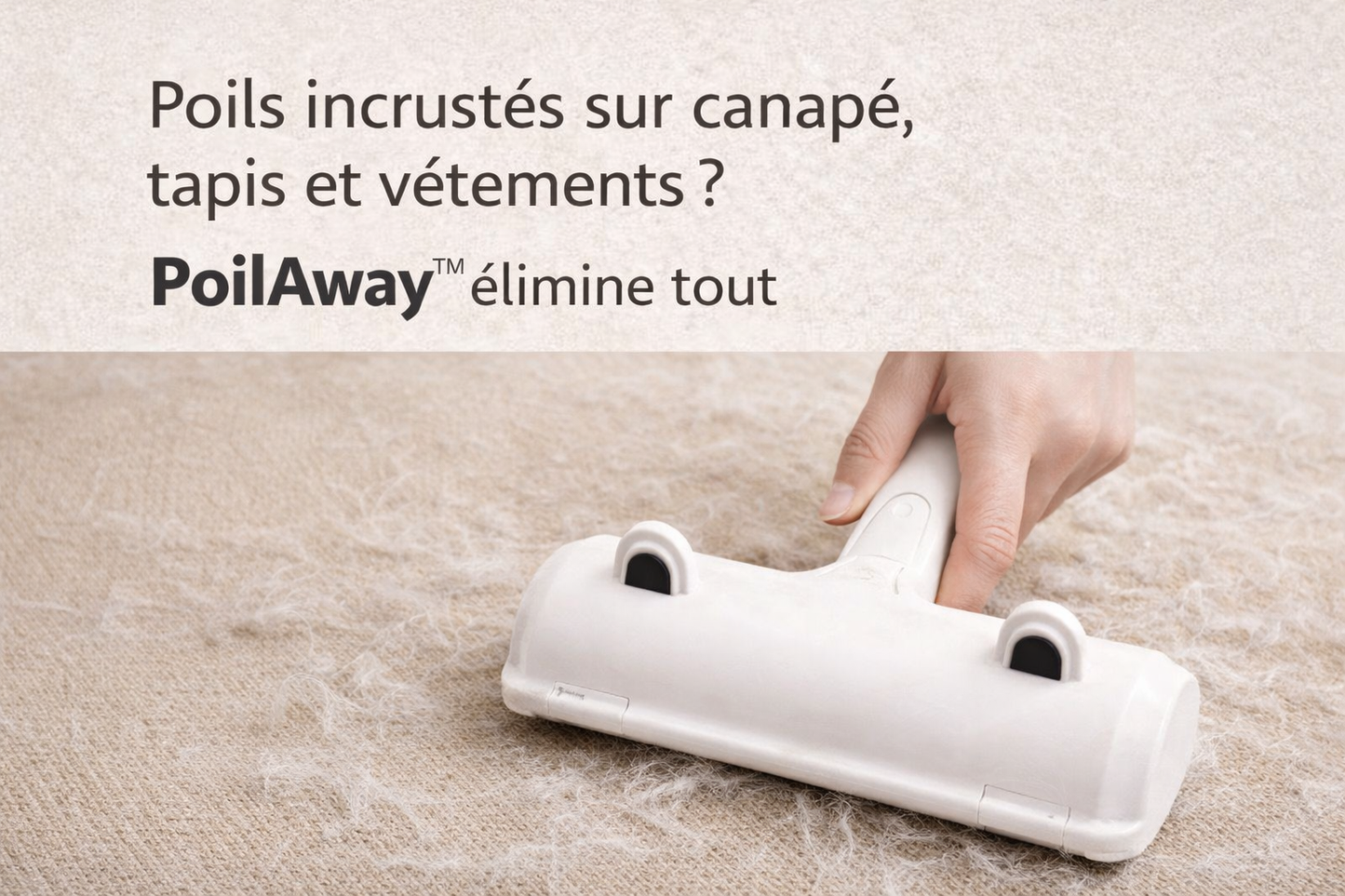 Utilisation du PoilAway™ pour enlever les poils de chien et de chat sur un canapé en tissu